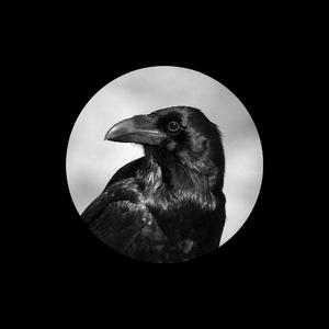 美女露出🐻让男生揉高潮全过程
