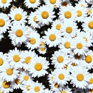 美女露出🐻让男生揉高潮全过程
