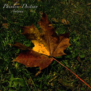 美女露出🐻让男生揉高潮全过程
